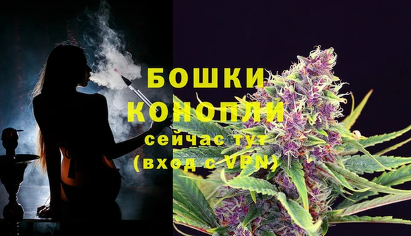гидропоника Верея